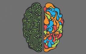 Contato do Departamento de Afiliados Curiosando - Affiliate Manager