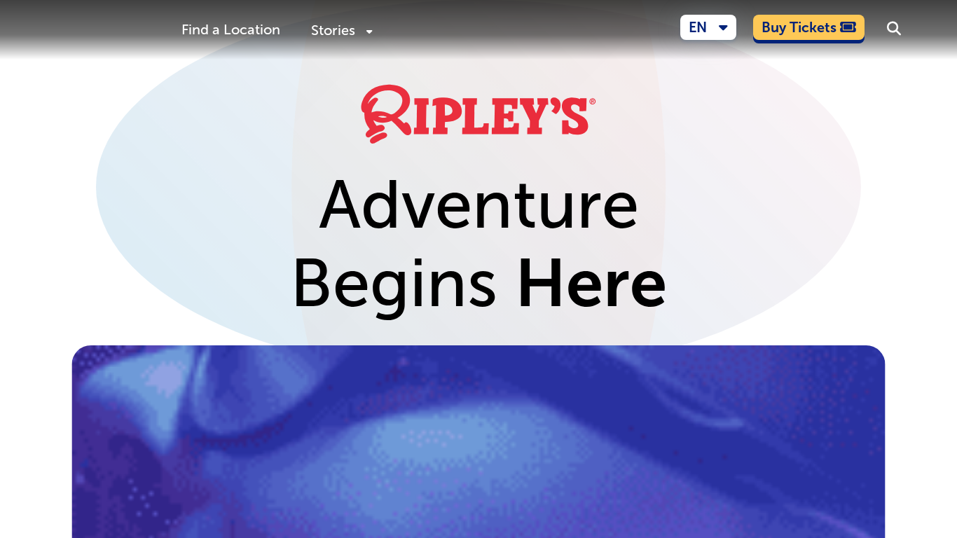 Programa de Afiliados da Ripley's