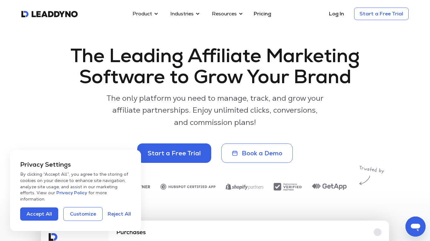 Painel de gestão de programa de afiliados LeadDyno