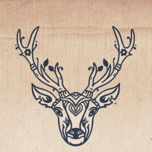 Contato do Departamento de Afiliados Heilkraft - Affiliate Manager