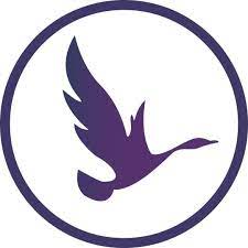 Contato do Departamento de Afiliados da OdinSchool - Affiliate Manager