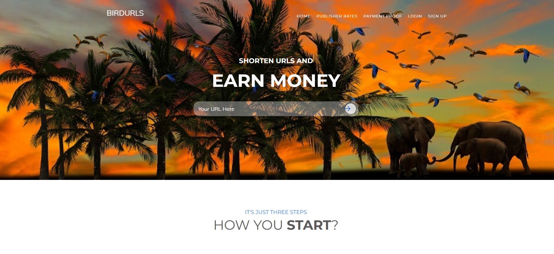 Programa de Afiliados BirdUrls