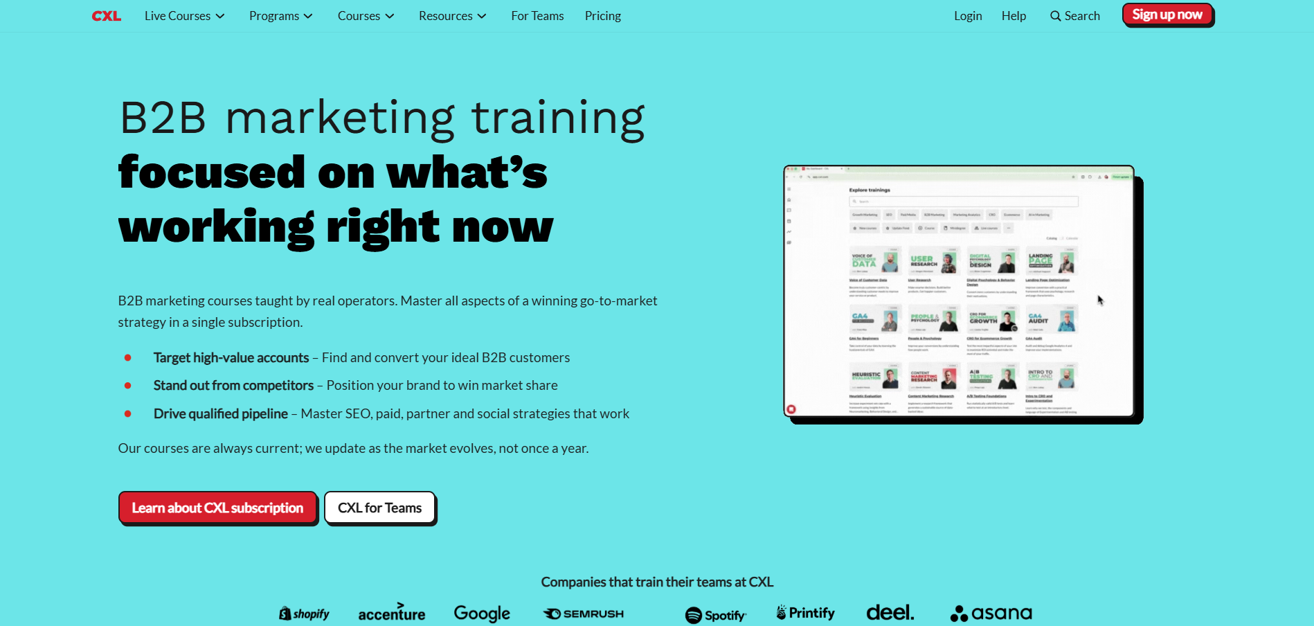 Programa de Afiliados CXL