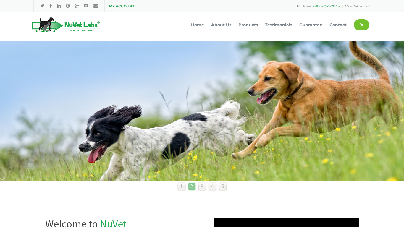 Programa de Afiliados NuVet Labs