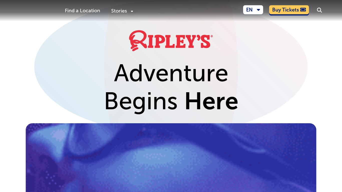 Programa de Afiliados da Ripley's