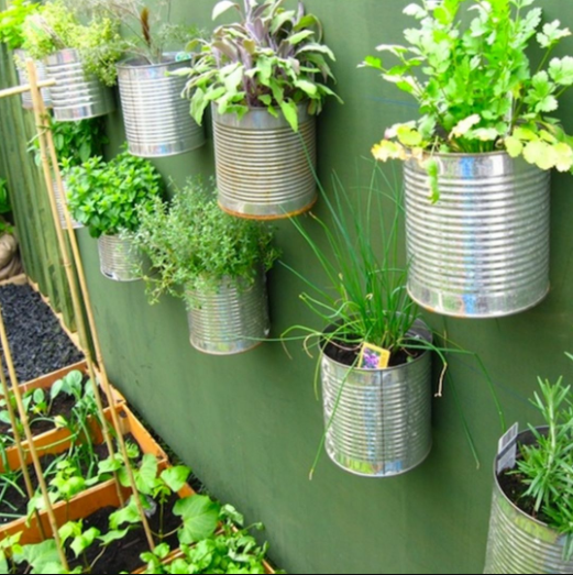 Jardim urbano - latas com verduras fixadas na parede
