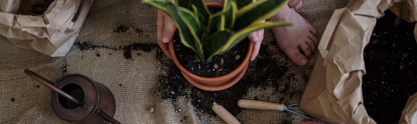 Por que usar marketing de afiliados para Casa & Jardim