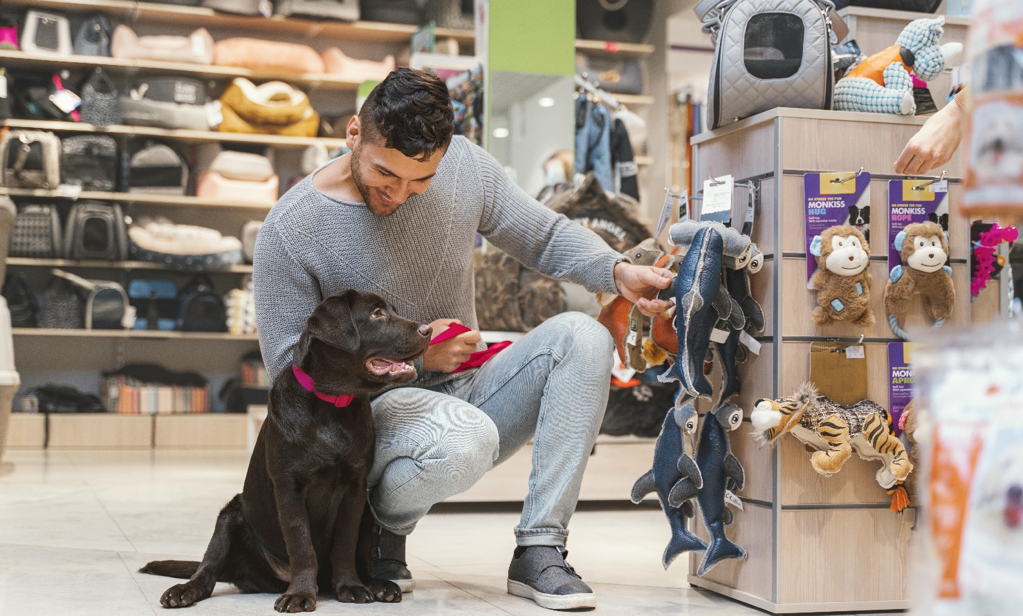 20 melhores programas de afiliados para pets em 2025