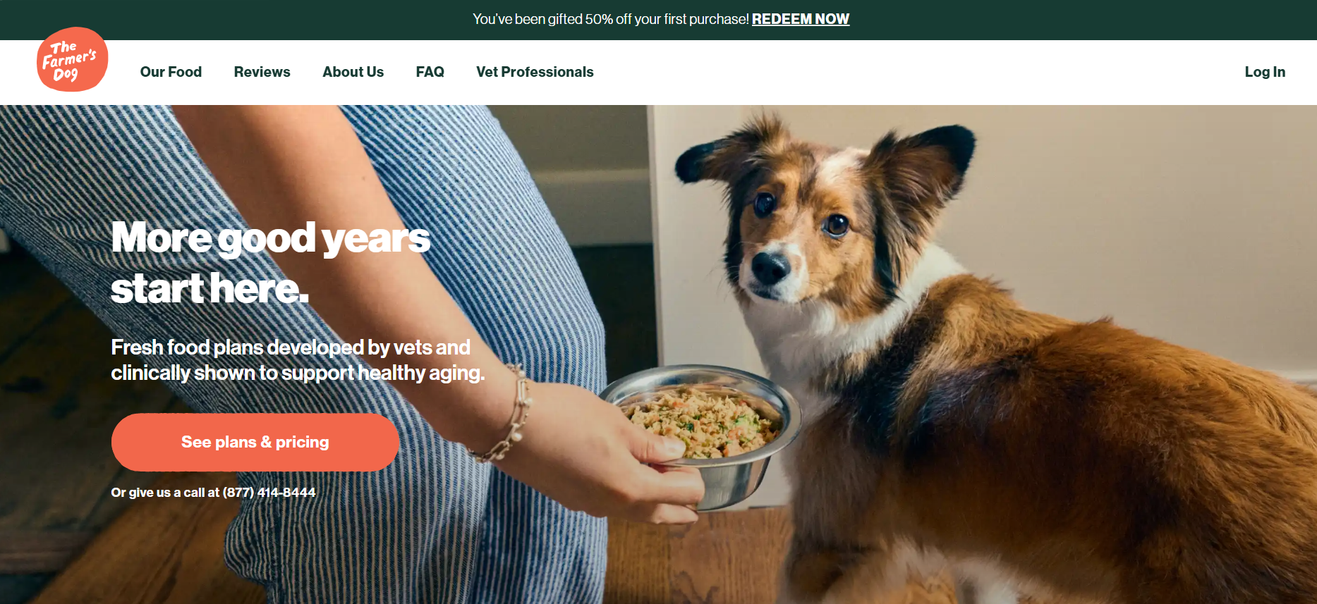 Captura de tela do site da Rover
